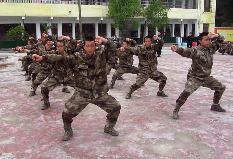 擒敌拳